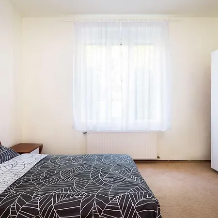 Comfortable House With Garden Timisoara
