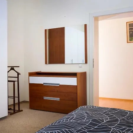 Comfortable House With Garden Timisoara